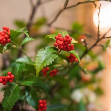 Hotel Yushintei Hakone Zewnętrze zdjęcie